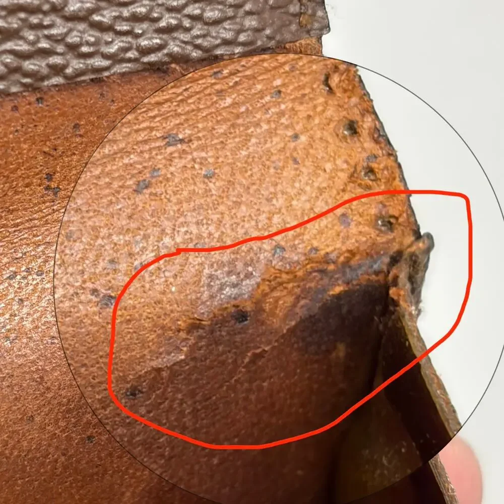 Louis Vuitton authenticity finished wallet